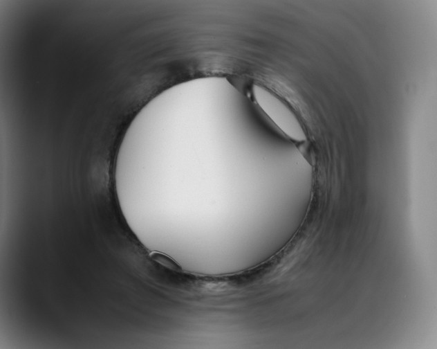 X0000089350401200707131535