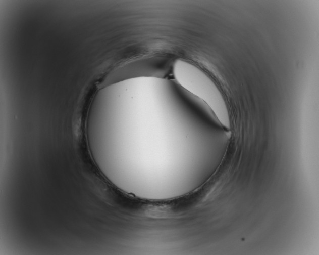 X0000089350403200707131535