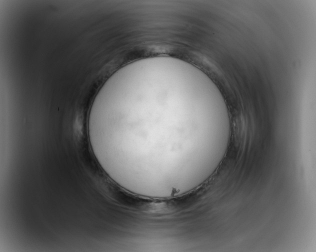 X0000089350406200707131535
