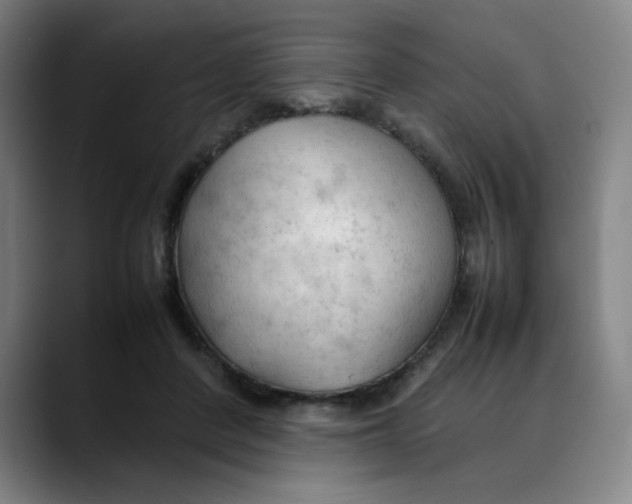 X0000089350408200707131534