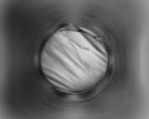 X0000089350409200707131534