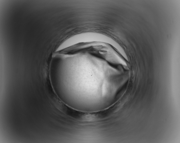 X0000089350413200707131534