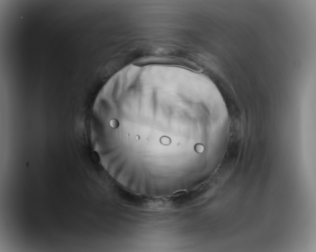 X0000089350415200707131534