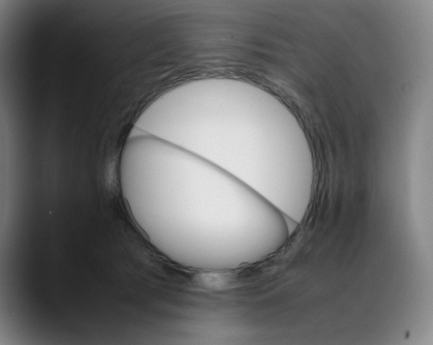 X0000089350417200707131534