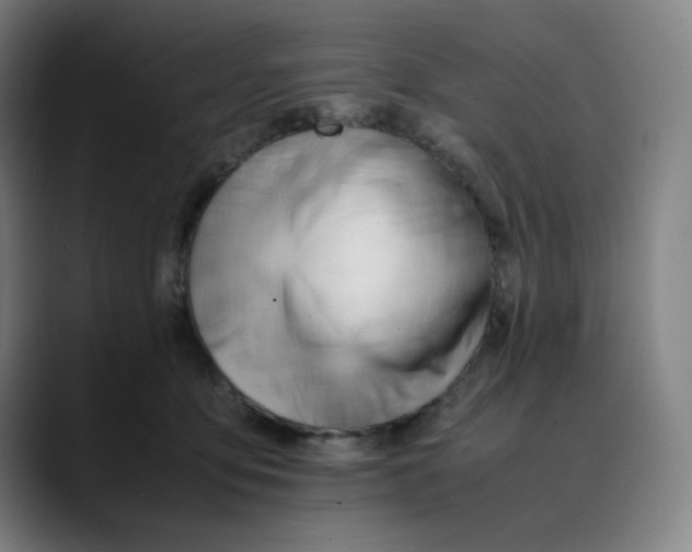 X0000089350419200707131534