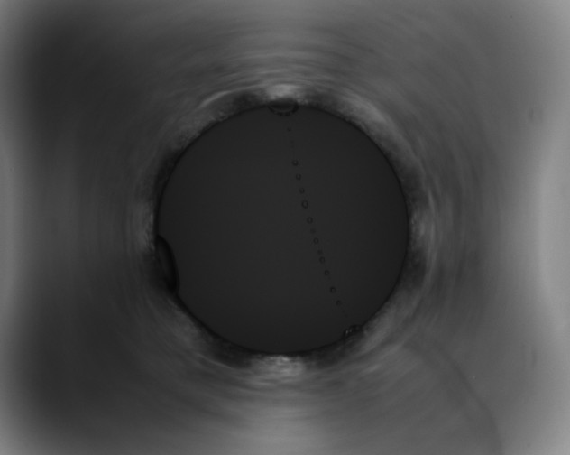 X0000089350421200707131534