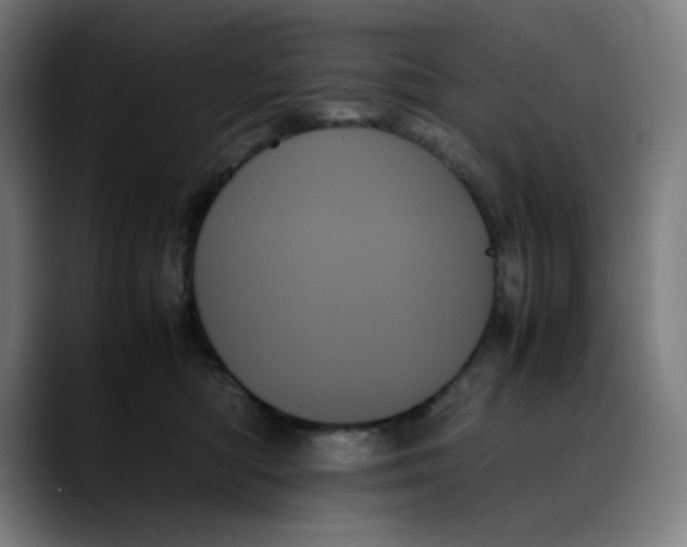 X0000089350422200707131534
