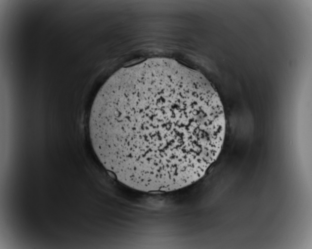 X0000089350423200707131534