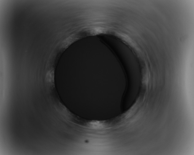X0000089350425200707131534