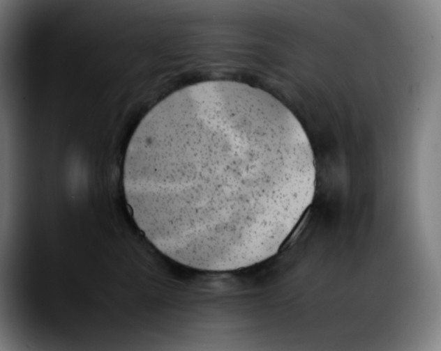 X0000089350427200707131534