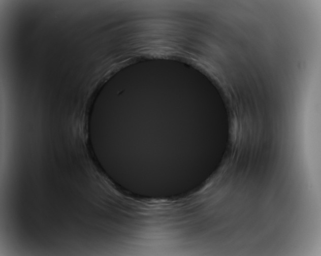 X0000089350428200707131534