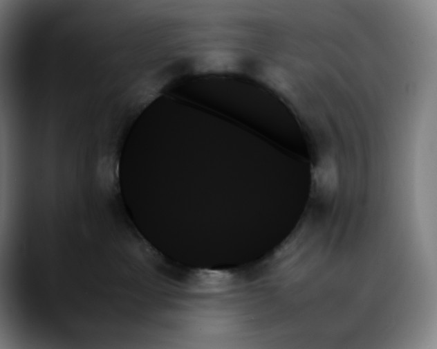 X0000089350429200707131534