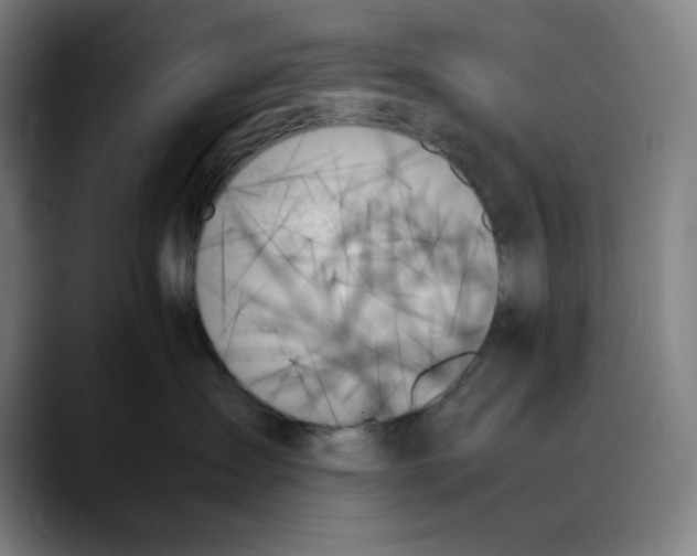 X0000089350431200707131534