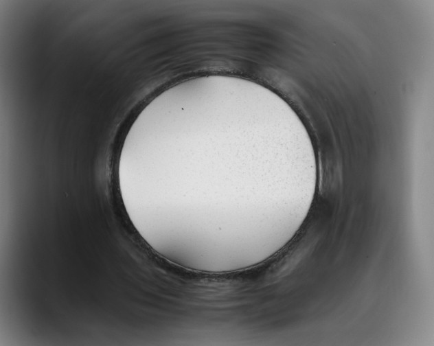 X0000089350435200707131534