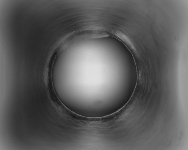 X0000089350436200707131534