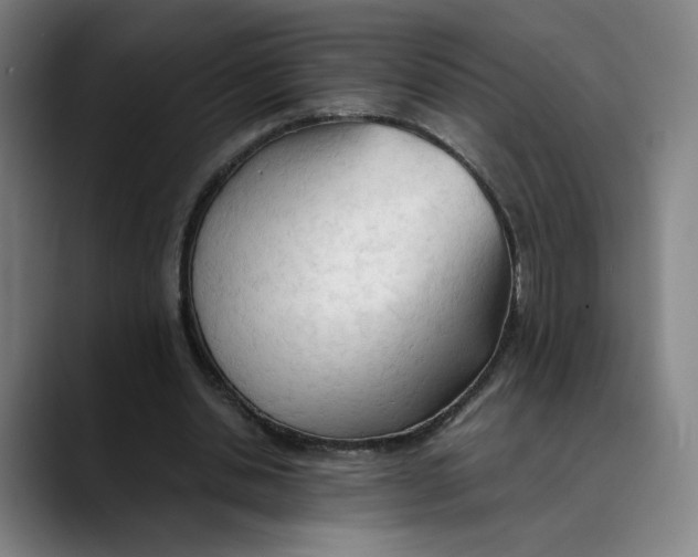 X0000089350438200707131534