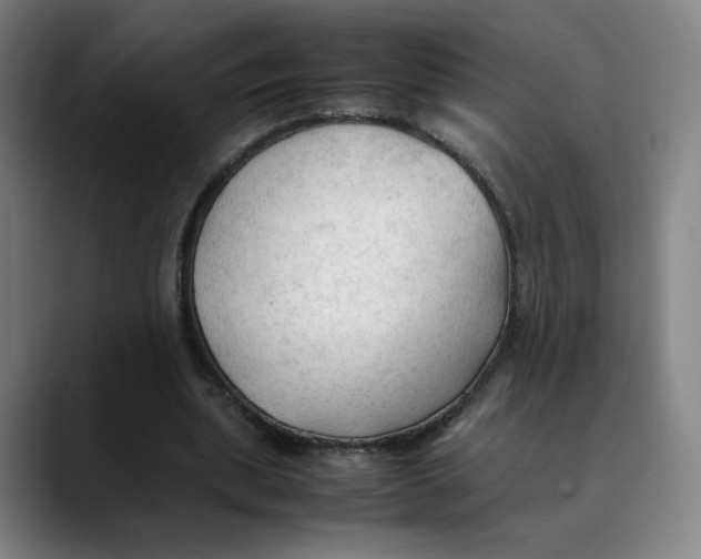 X0000089350439200707131534