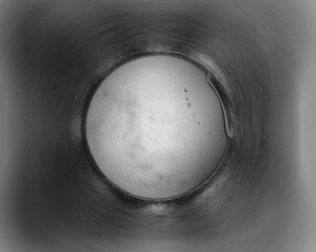 X0000089350441200707131534