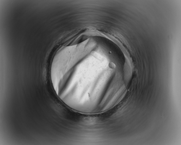 X0000089350444200707131534