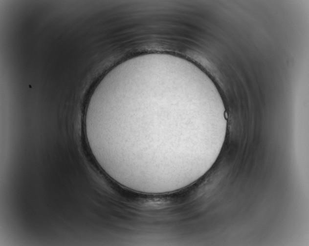 X0000089350445200707131534