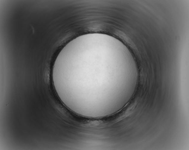X0000089350446200707131534