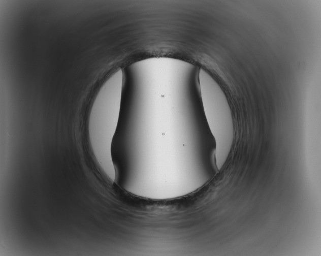 X0000089350448200707131534