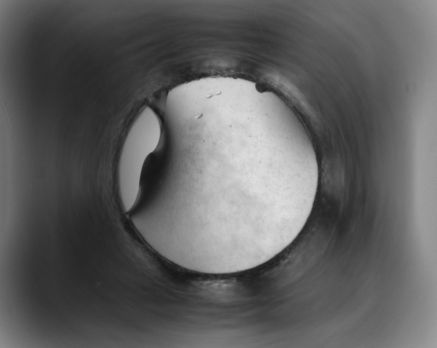 X0000089350449200707131534