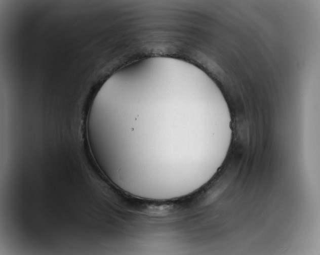 X0000089350450200707131534