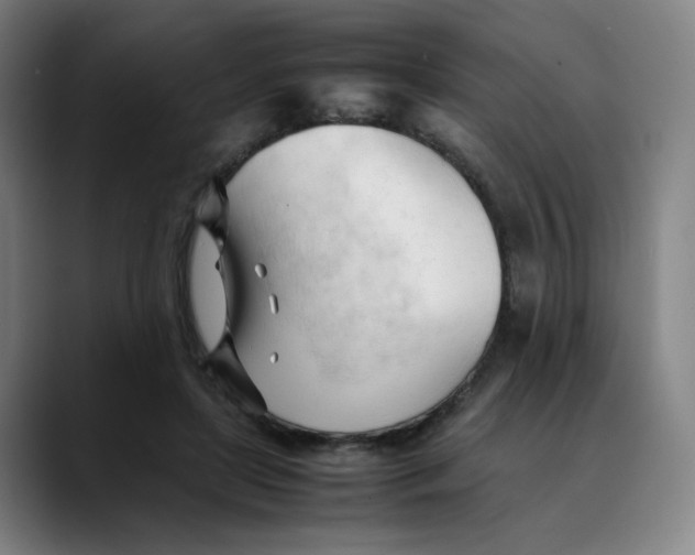 X0000089350451200707131534