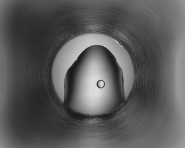 X0000089350452200707131534