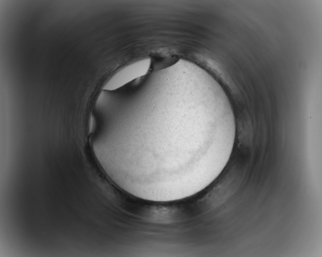 X0000089350453200707131534