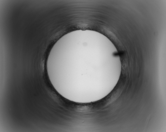 X0000089350454200707131534