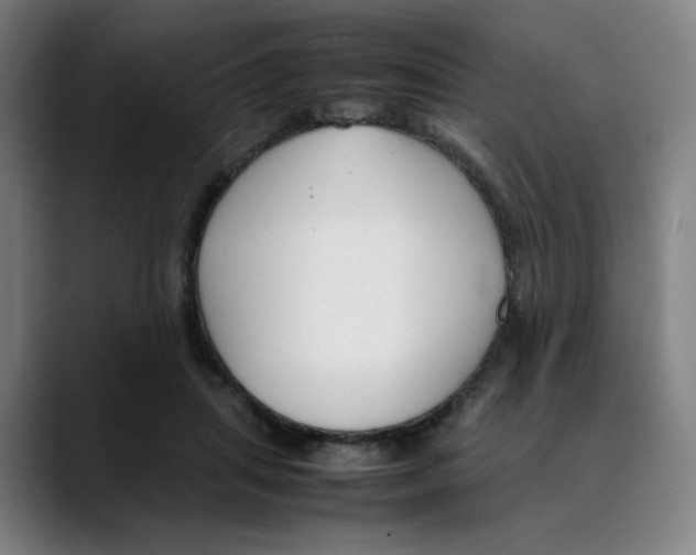 X0000089350455200707131534