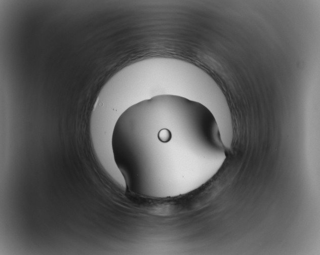 X0000089350456200707131534