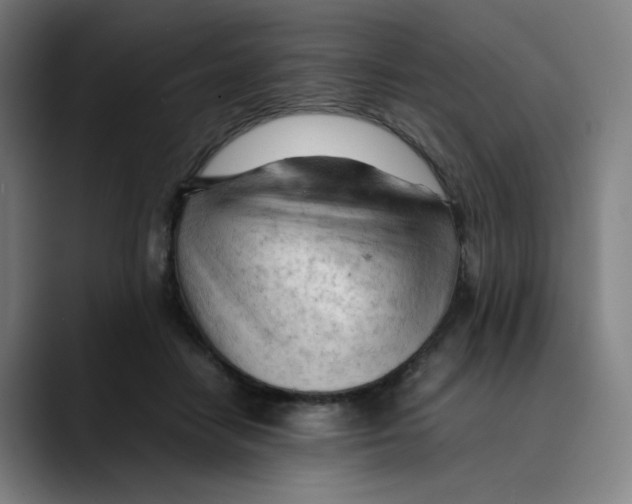 X0000089350458200707131534