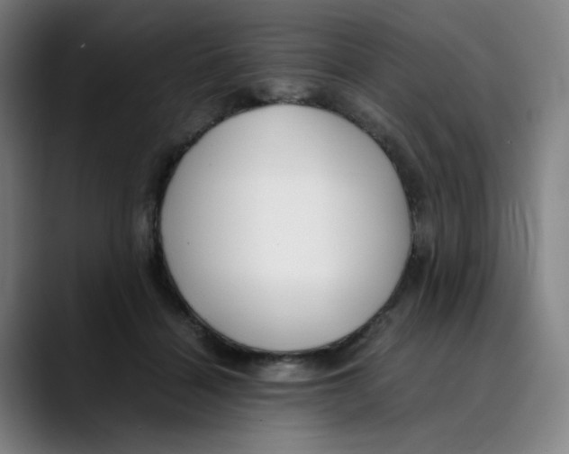 X0000089350460200707131534