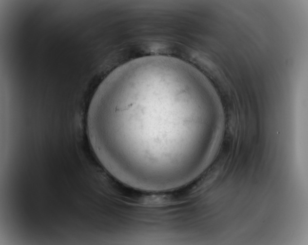X0000089350461200707131534