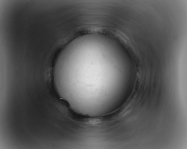 X0000089350462200707131534