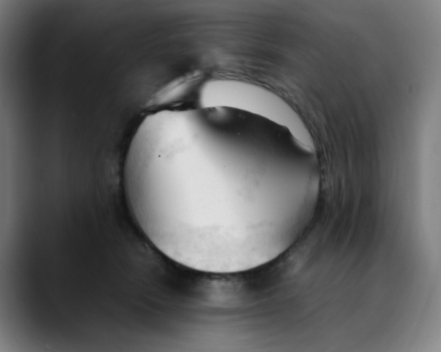 X0000089350466200707131534