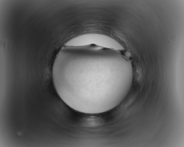 X0000089350467200707131534