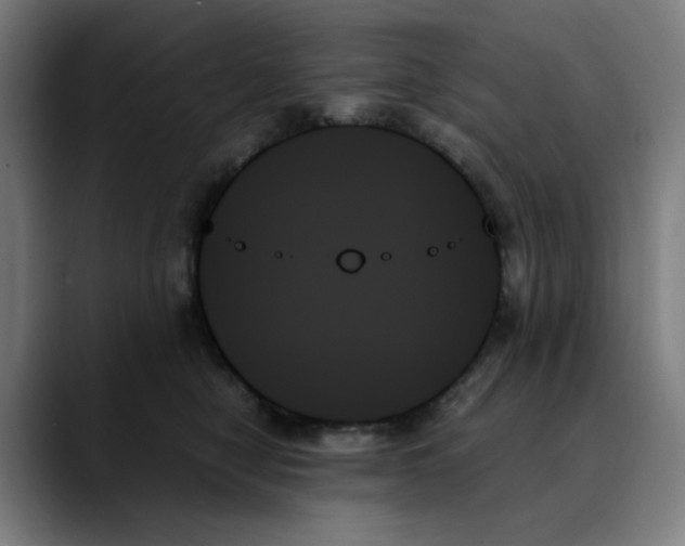 X0000089350470200707131534