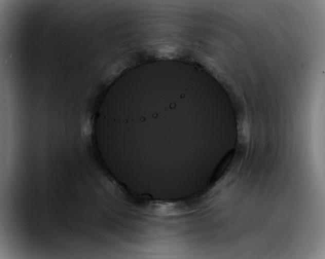X0000089350472200707131534
