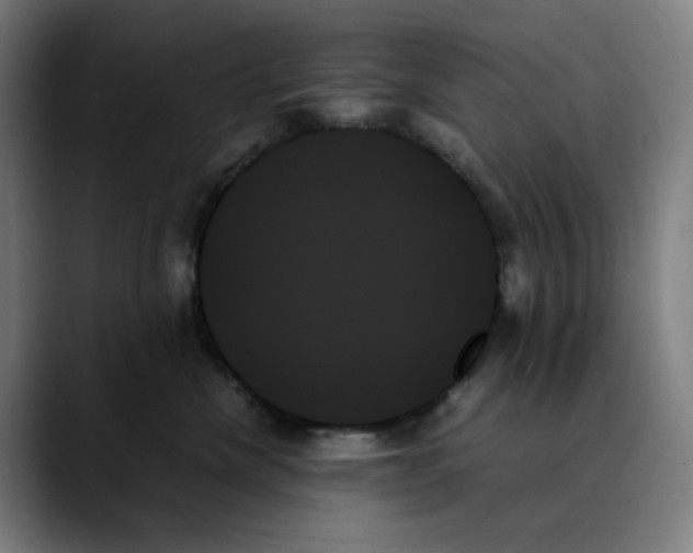 X0000089350476200707131534