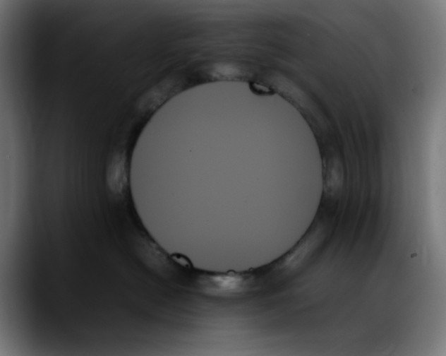 X0000089350478200707131534