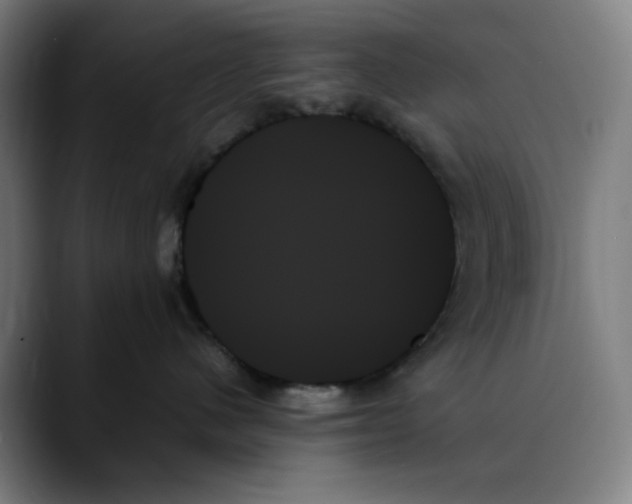 X0000089350480200707131534