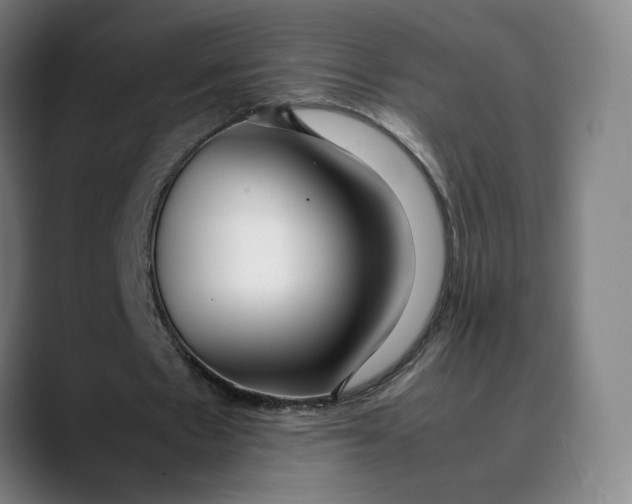 X0000089350481200707131534