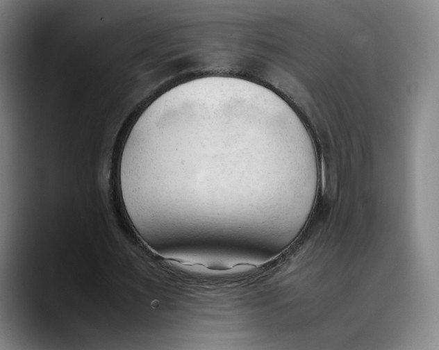 X0000089350483200707131534