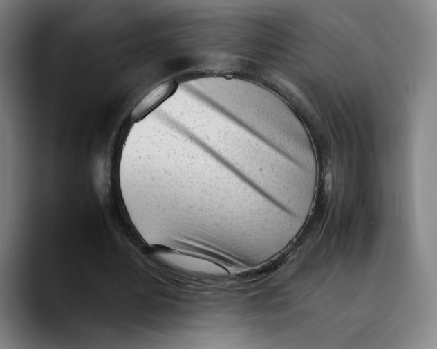 X0000089350484200707131534