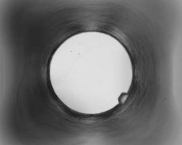 X0000089350485200707131534