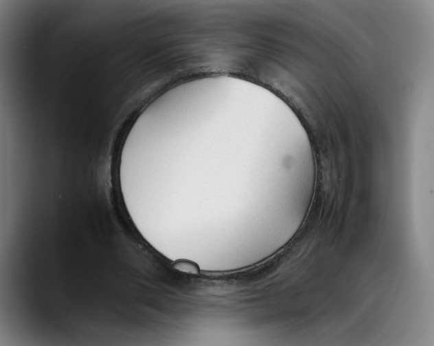 X0000089350486200707131534